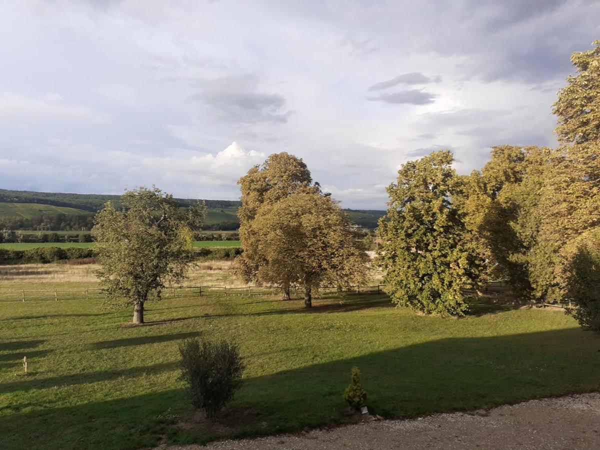 Mardeuil Domaine-De-La-Borde A Epernay B&B 외부 사진