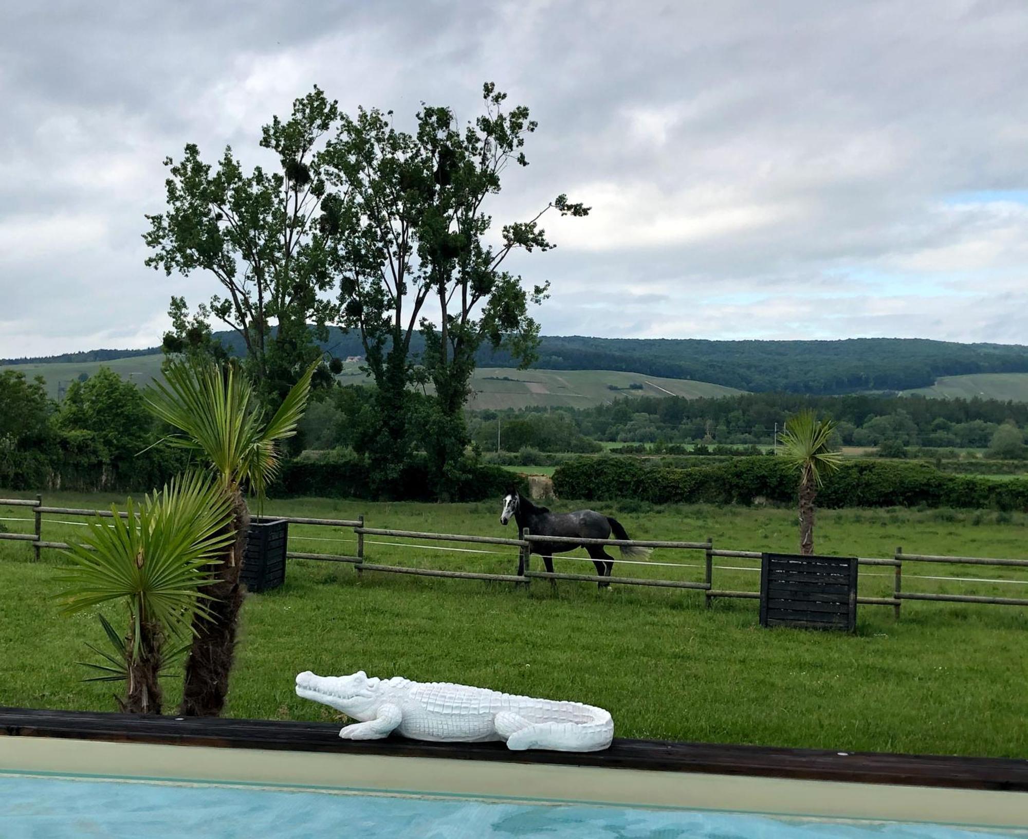 Mardeuil Domaine-De-La-Borde A Epernay B&B 외부 사진